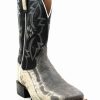 Boot * | Dan Post Men'S Kauring Snake Exotic Western Boots Broad Square Toe