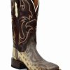 Boot * | Dan Post Women'S Karung Snake Exotic Western Boot Square Toe