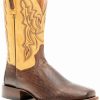 Boot * | Dan Post Men'S Exotic Snake Western Boots Wide Square Toe Brown