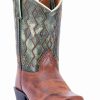 Boot * | Dan Post Boys' Teddy Western Boots